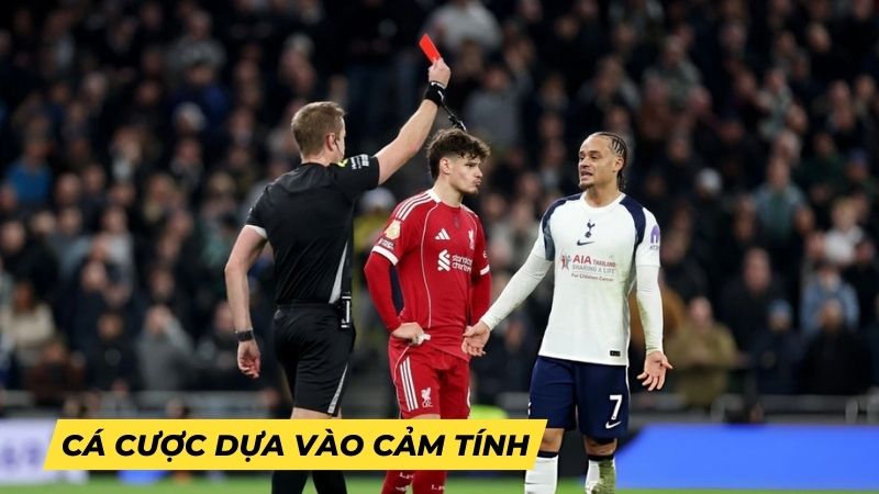 Đặt cược theo cảm tính và thiếu nghiên cứu là nguyên nhân chính dẫn đến tỷ lệ thua cao.