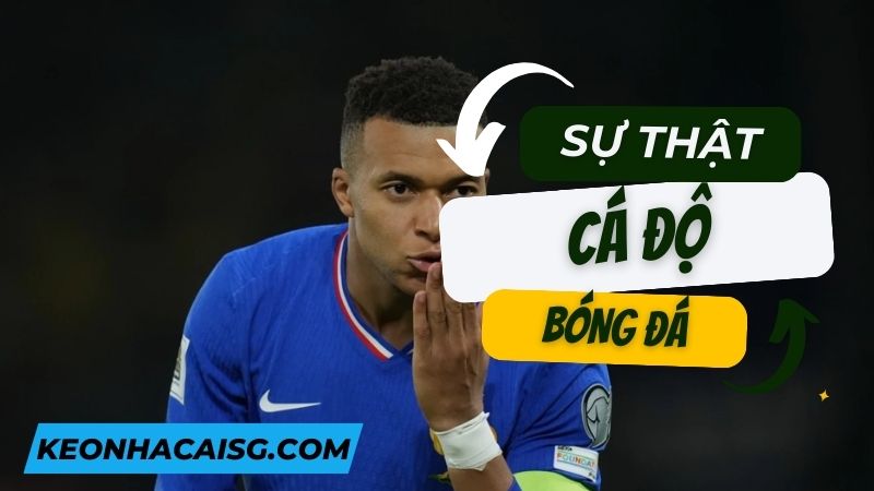 Khám phá sự thật về cá độ bóng đá